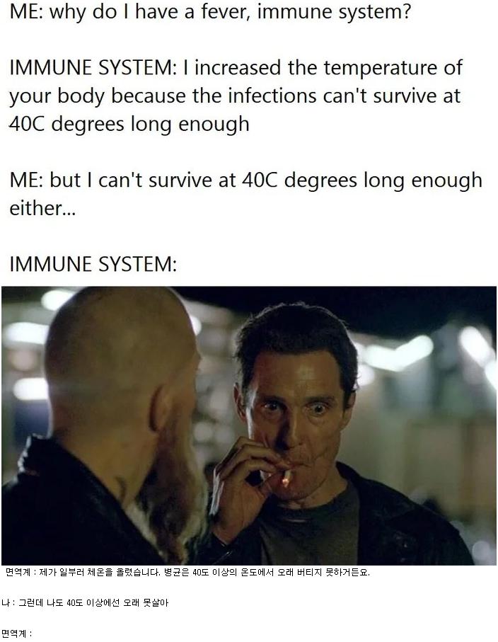 94d39674.png.jpg