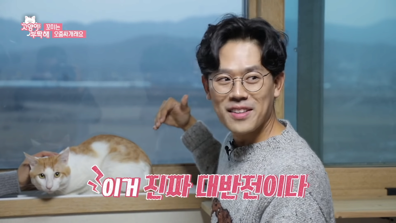 자꾸 소변실수하는 고양이 역대급 반전 ㄷㄷ.jpg (5).png