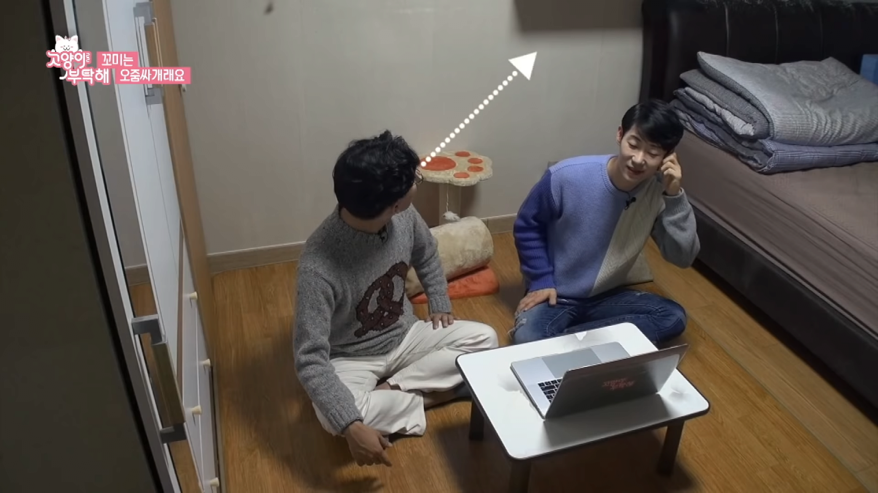 자꾸 소변실수하는 고양이 역대급 반전 ㄷㄷ.jpg (1).png