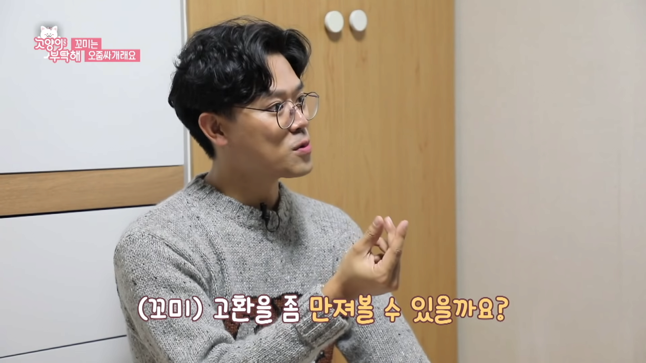 자꾸 소변실수하는 고양이 역대급 반전 ㄷㄷ.jpg (4).png