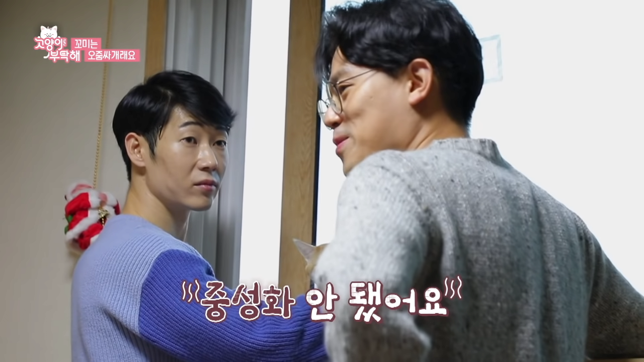 자꾸 소변실수하는 고양이 역대급 반전 ㄷㄷ.jpg (6).png