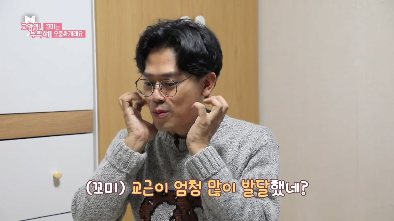 자꾸 소변실수하는 고양이 역대급 반전 ㄷㄷ.jpg (2).png