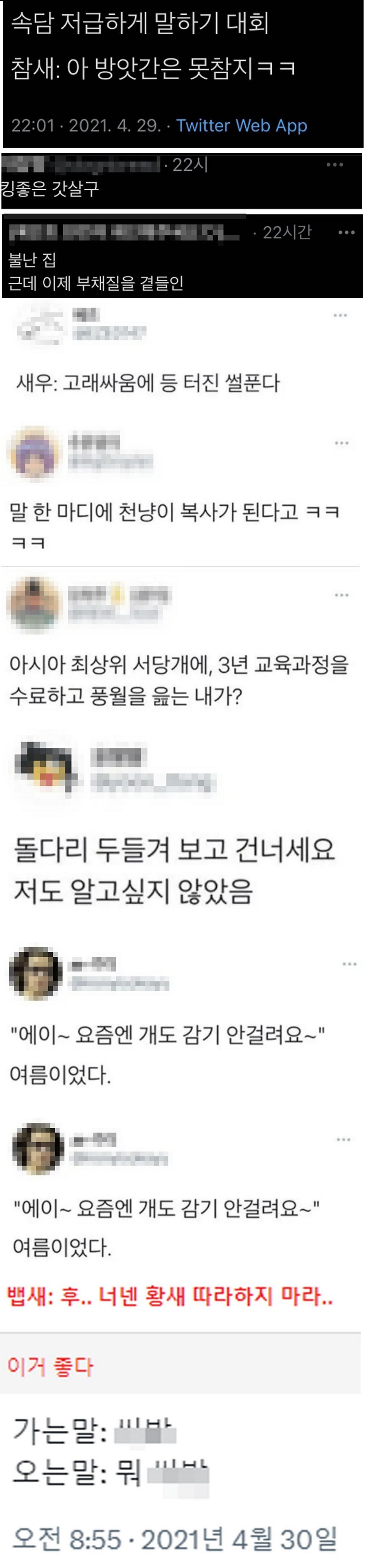 속담 저급하게 말하기 대회.png.jpg