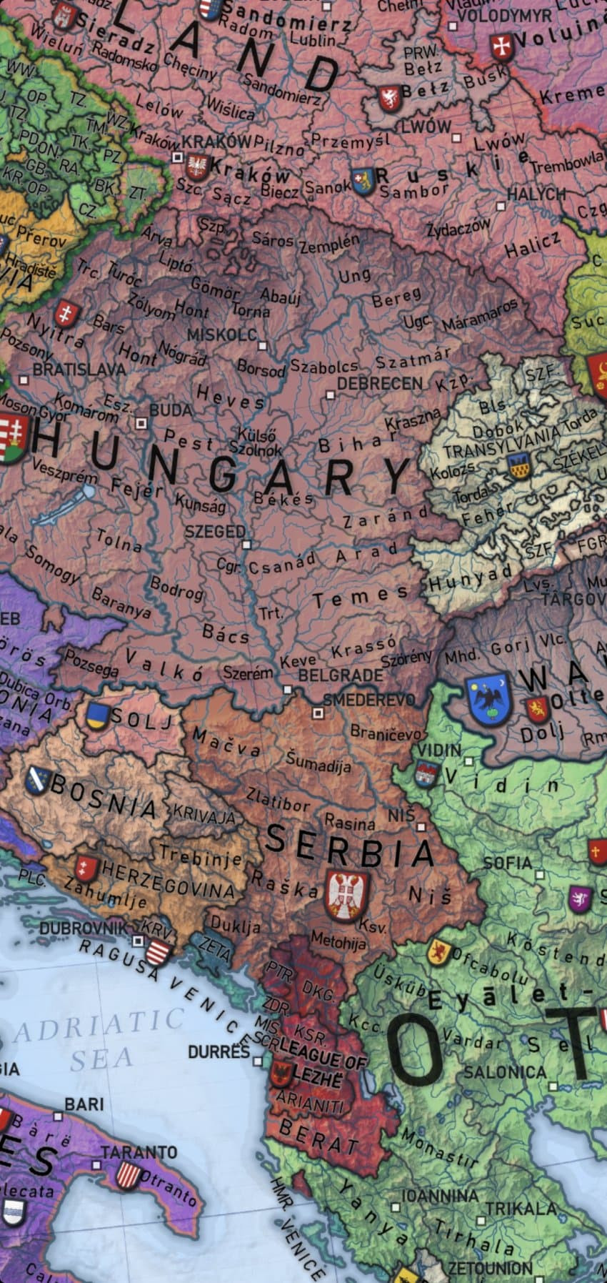 1691407304487.jpg