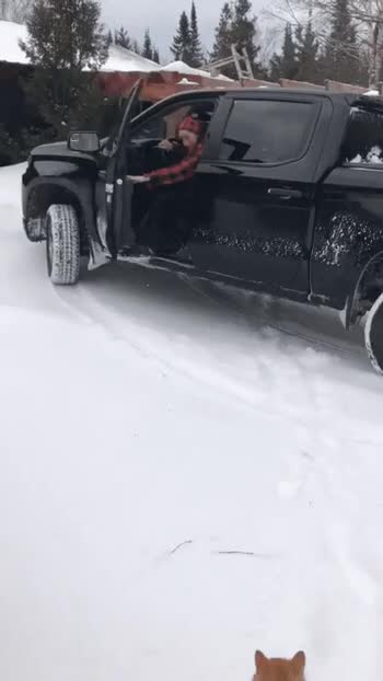 001.gif