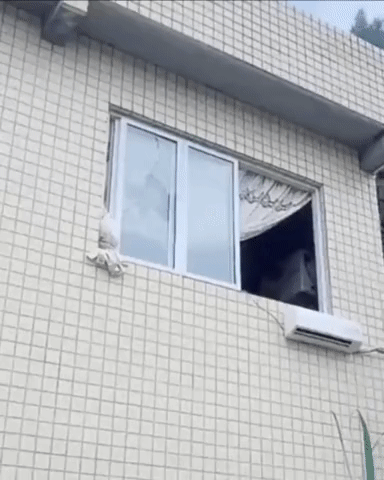 bt9f3fb7b04907d92dd8c21c5c4658f6bb.gif