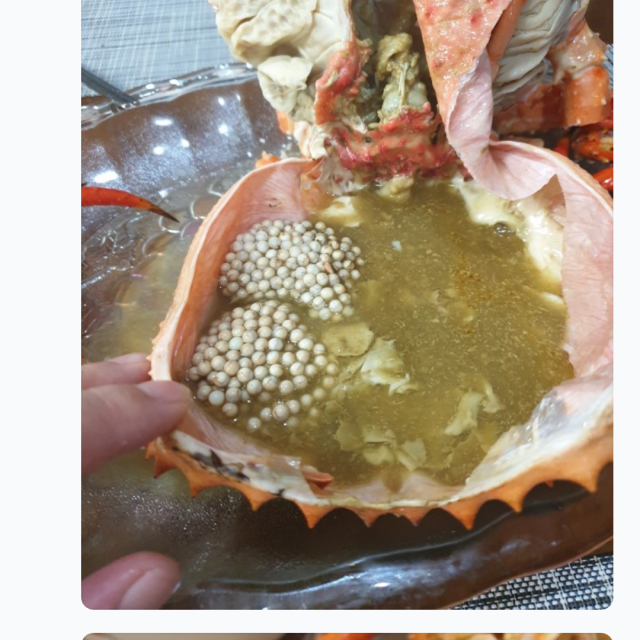 16933239776654.png