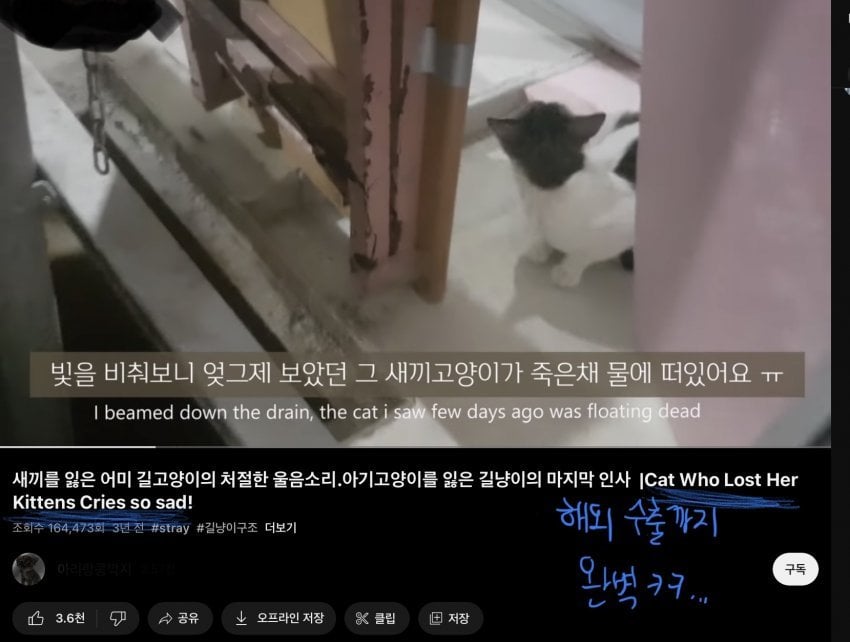 캣맘 줘패는 댓글 ㅋㅋㅋㅋ ..jpg