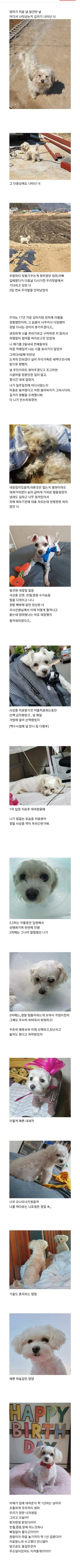 IMG_2574.jpeg 부모님 텃밭에서 시작된 인연