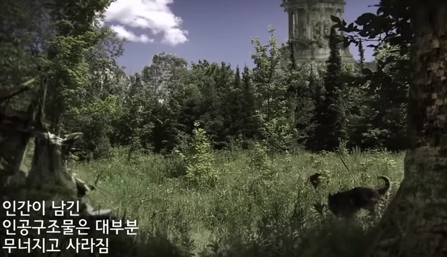 img/23/07/21/189742f208d53b8ac.png 인류가 멸망해도 남는 인공물 ㄷㄷㄷ...jpg