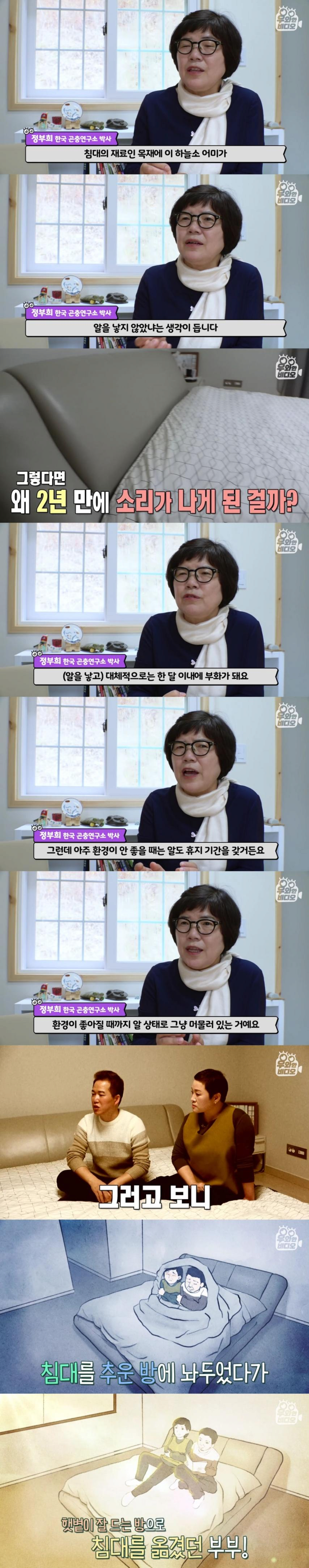 image.png 침대에서 이상한 소리가나서 침대를 분해했는데요