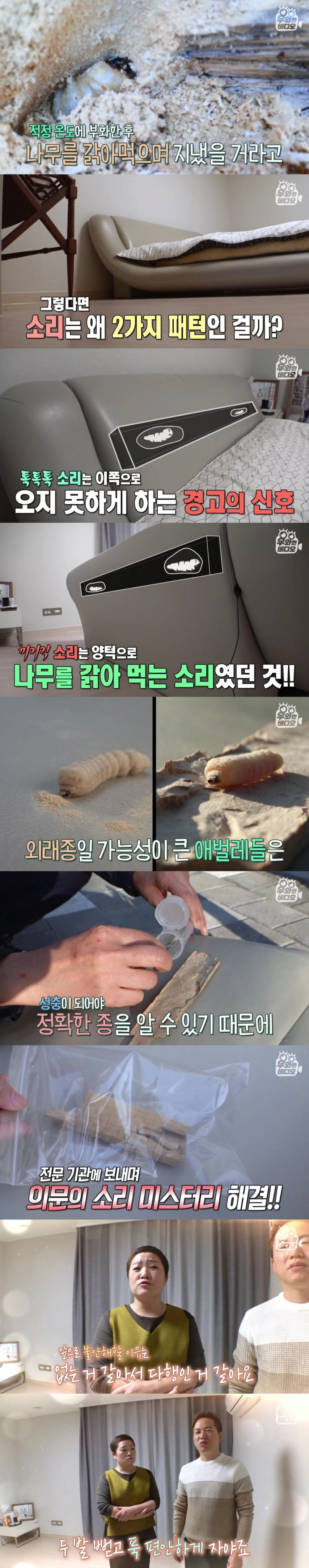 image.png 침대에서 이상한 소리가나서 침대를 분해했는데요