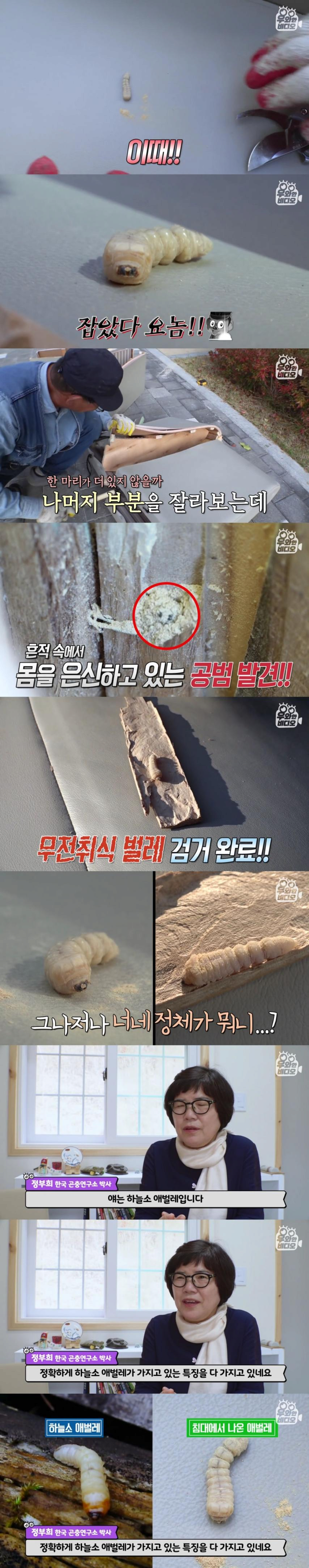 image.png 침대에서 이상한 소리가나서 침대를 분해했는데요
