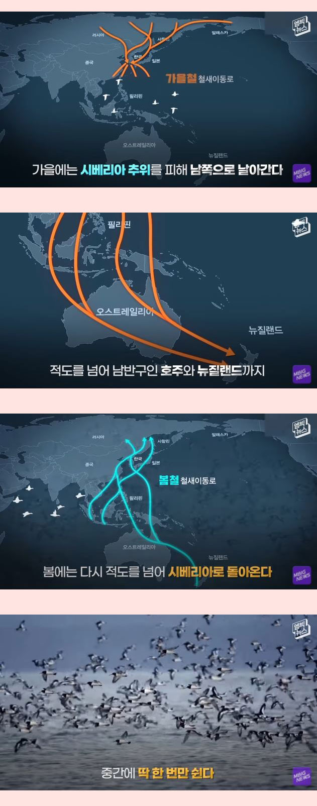 전세계 21개회원국 만장일치 세계에서 가장 중요한 곳 - 꾸르