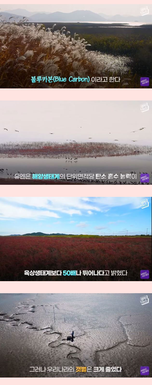 전세계 21개회원국 만장일치 세계에서 가장 중요한 곳 - 꾸르