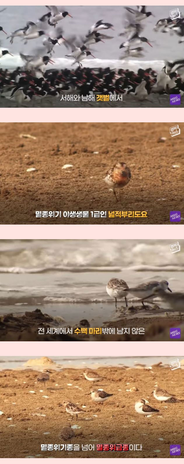 전세계 21개회원국 만장일치 세계에서 가장 중요한 곳 - 꾸르