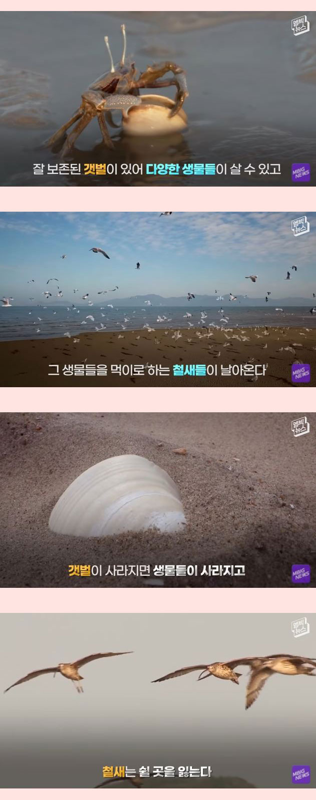 전세계 21개회원국 만장일치 세계에서 가장 중요한 곳 - 꾸르