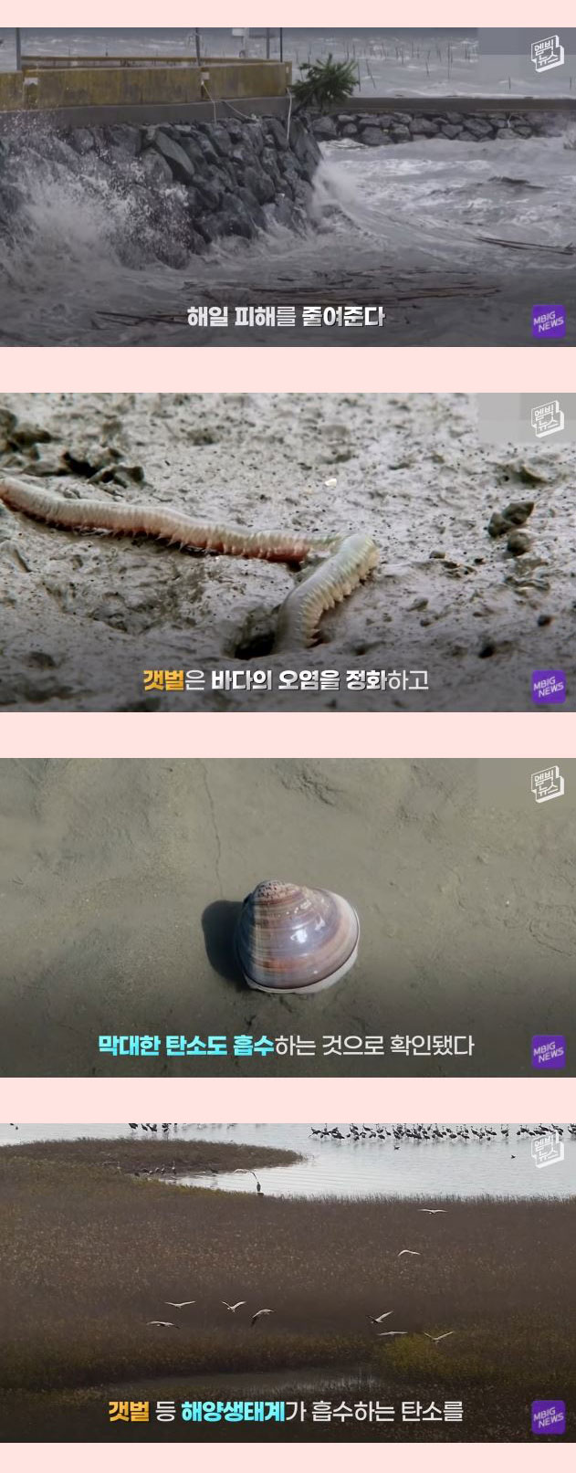 전세계 21개회원국 만장일치 세계에서 가장 중요한 곳 - 꾸르