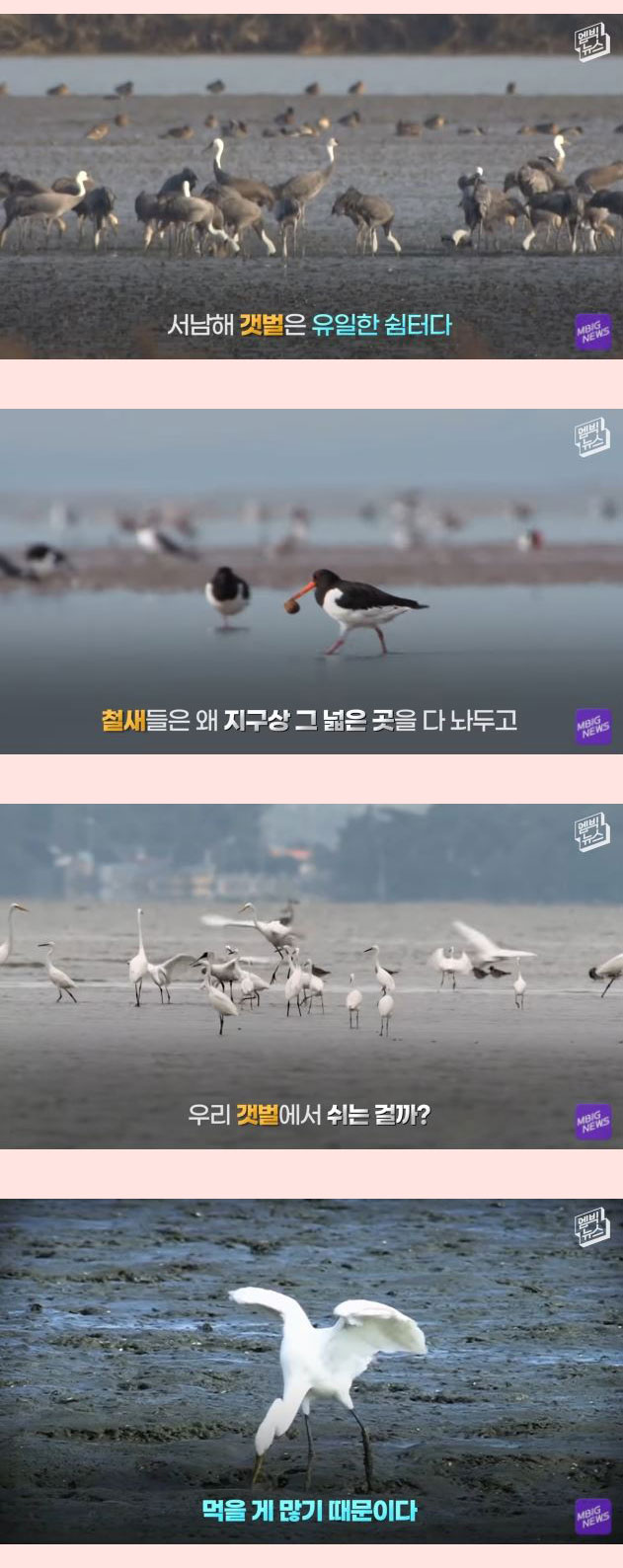 전세계 21개회원국 만장일치 세계에서 가장 중요한 곳 - 꾸르