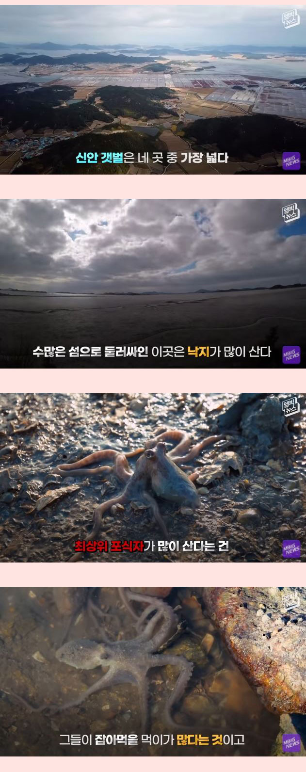 전세계 21개회원국 만장일치 세계에서 가장 중요한 곳 - 꾸르