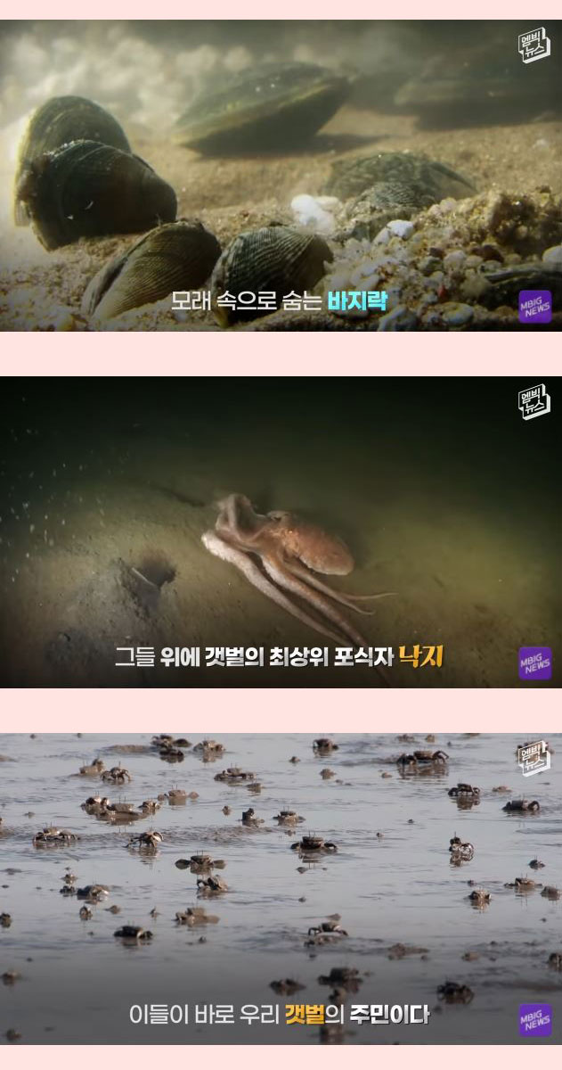 전세계 21개회원국 만장일치 세계에서 가장 중요한 곳 - 꾸르