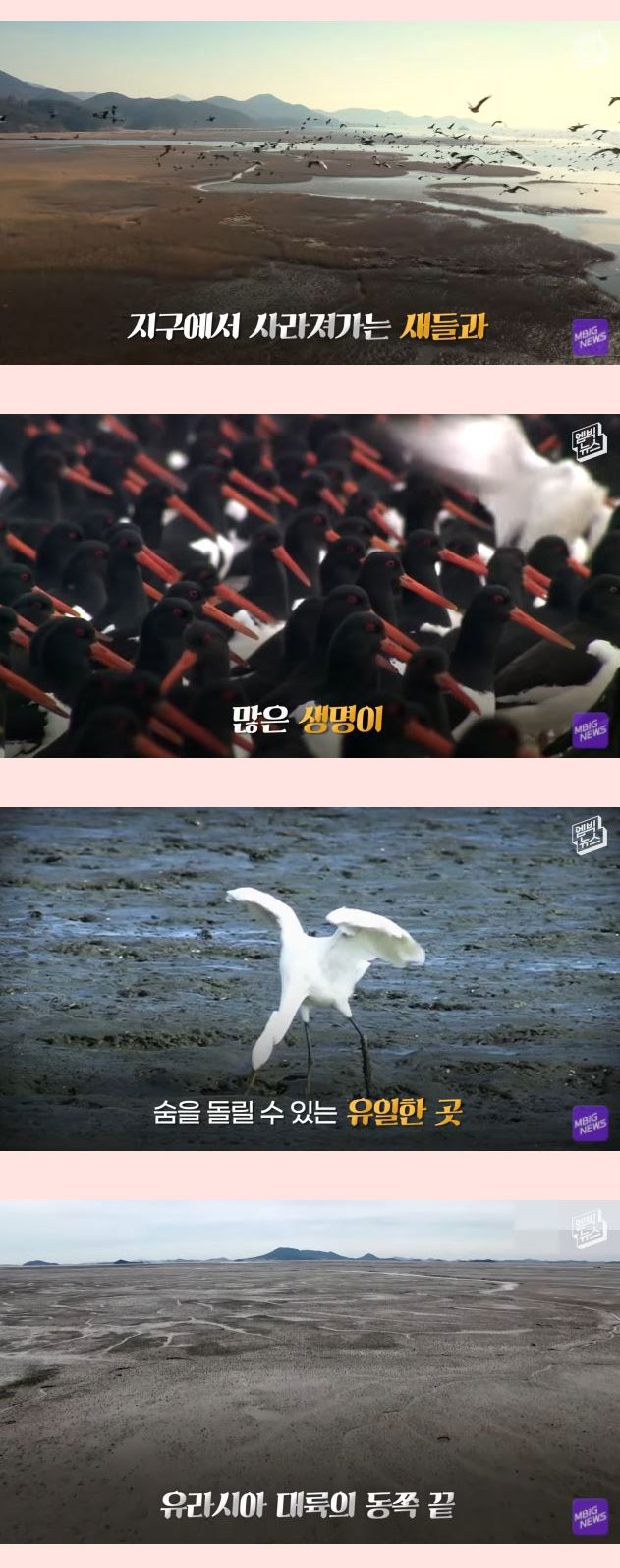 전세계 21개회원국 만장일치 세계에서 가장 중요한 곳 - 꾸르