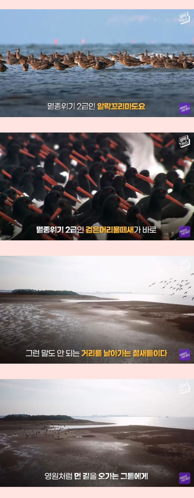 전세계 21개회원국 만장일치 세계에서 가장 중요한 곳 - 꾸르