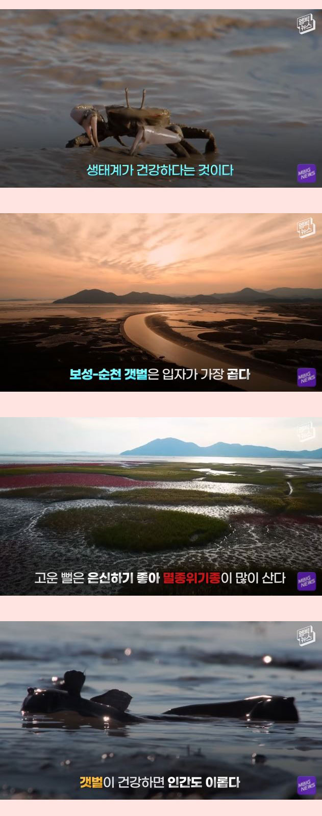 전세계 21개회원국 만장일치 세계에서 가장 중요한 곳 - 꾸르