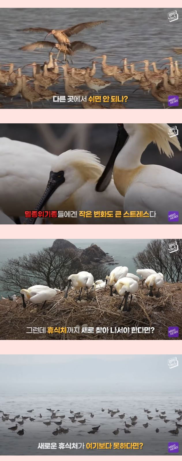 전세계 21개회원국 만장일치 세계에서 가장 중요한 곳 - 꾸르