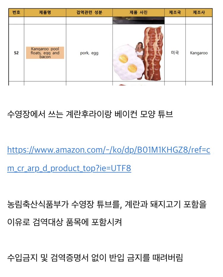 2.jpeg 놀랍게도 수입이 금지되었었던 물건.jpg