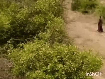 2890328439_lJpbG21F_47b063cefa9d59a4688dadc8dbdc92f8398b5d92.gif
