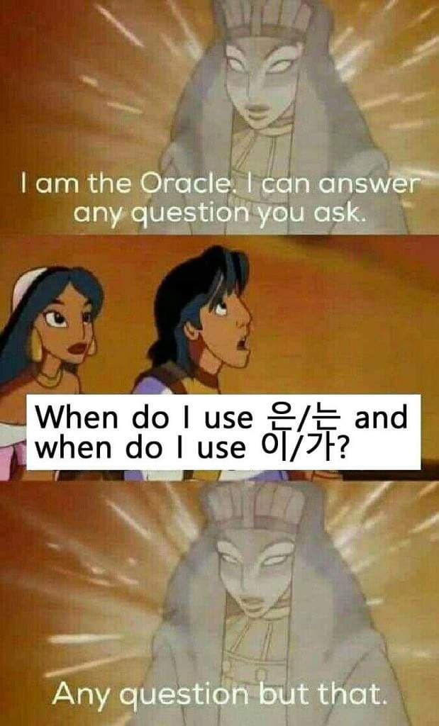 16903225038228.jpg