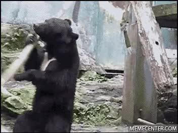 11.gif