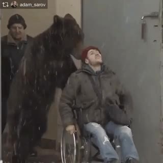 2.gif