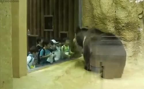 8.gif