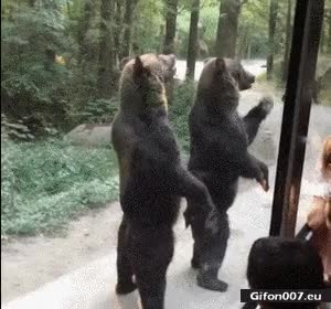 6.gif