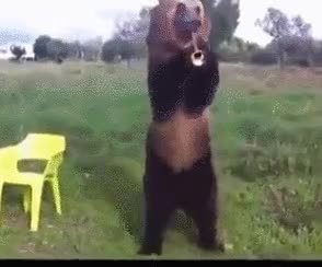 10.gif