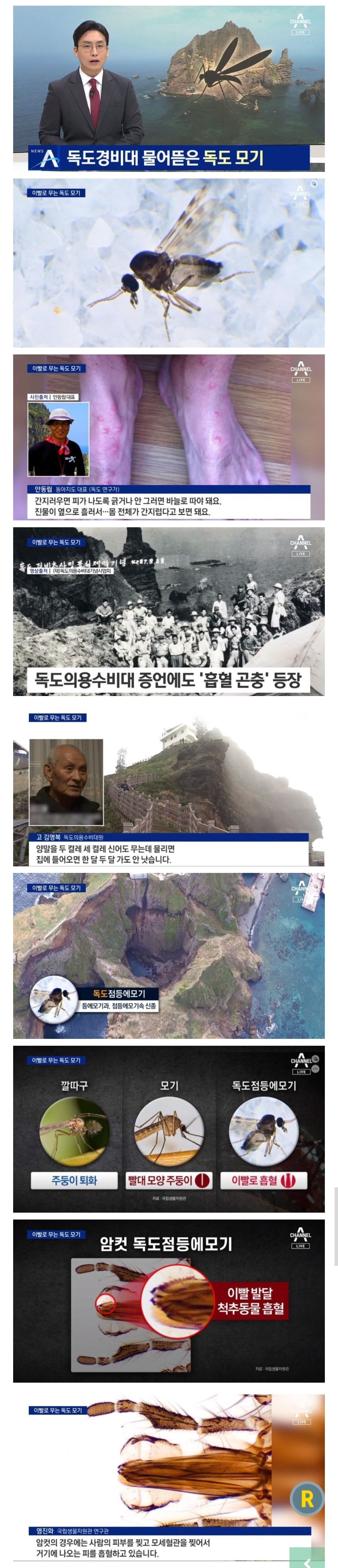 독도에 사는 모세혈관 찢어서 피빨아먹는 모기ㄷㄷㄷㄷ