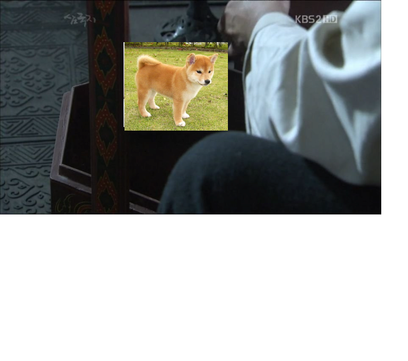 찬붕이.png 조조: 순욱 공에게 우리 뽀삐 좀 보여주거라