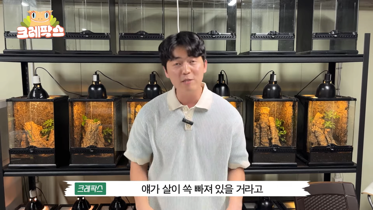 26.png 파충류 전문가가 본 영주 왕도마뱀, 비단뱀, 악어 유기 사건