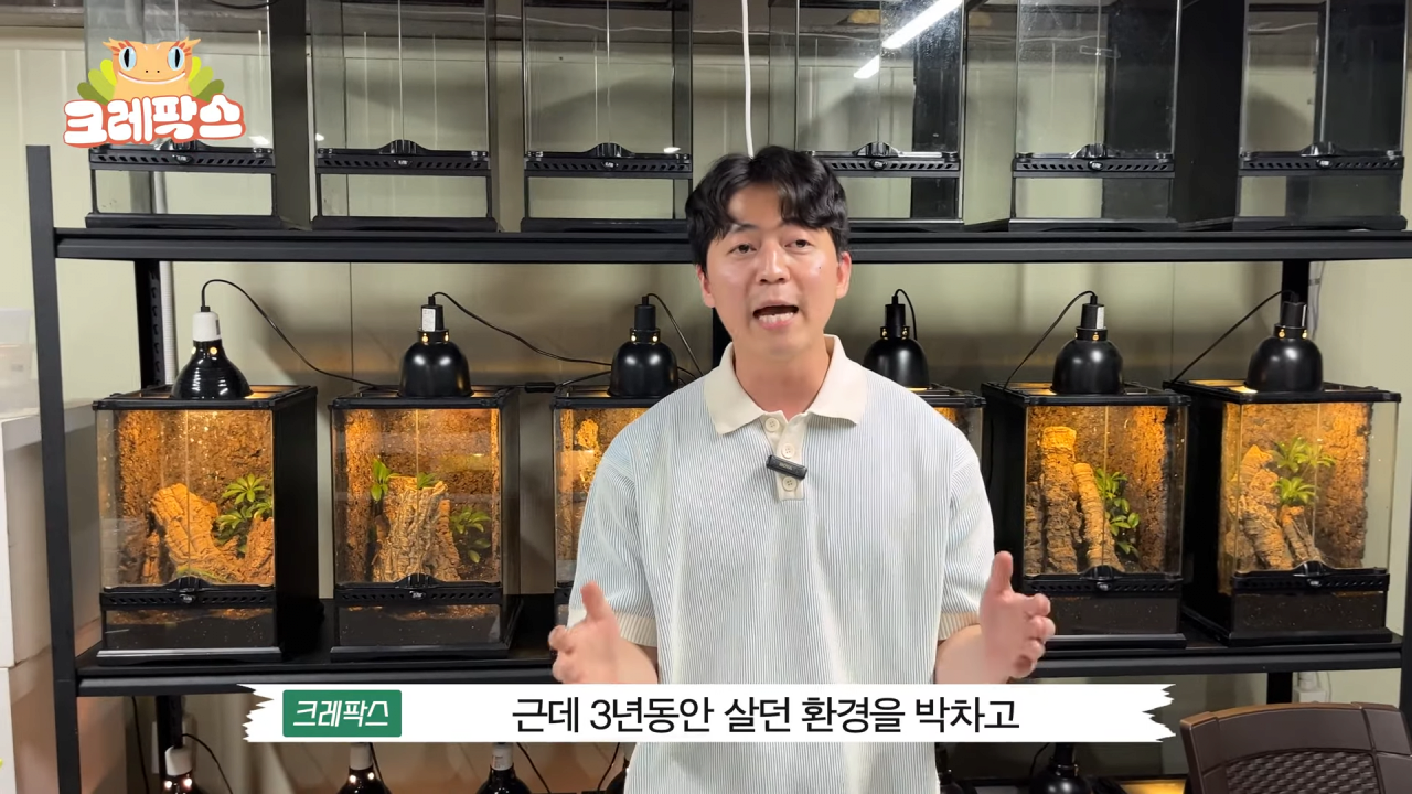 22.png 파충류 전문가가 본 영주 왕도마뱀, 비단뱀, 악어 유기 사건