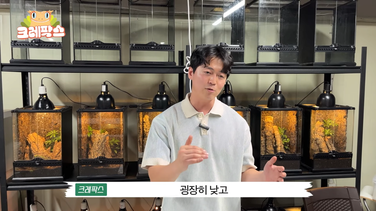 20 (2).png 파충류 전문가가 본 영주 왕도마뱀, 비단뱀, 악어 유기 사건