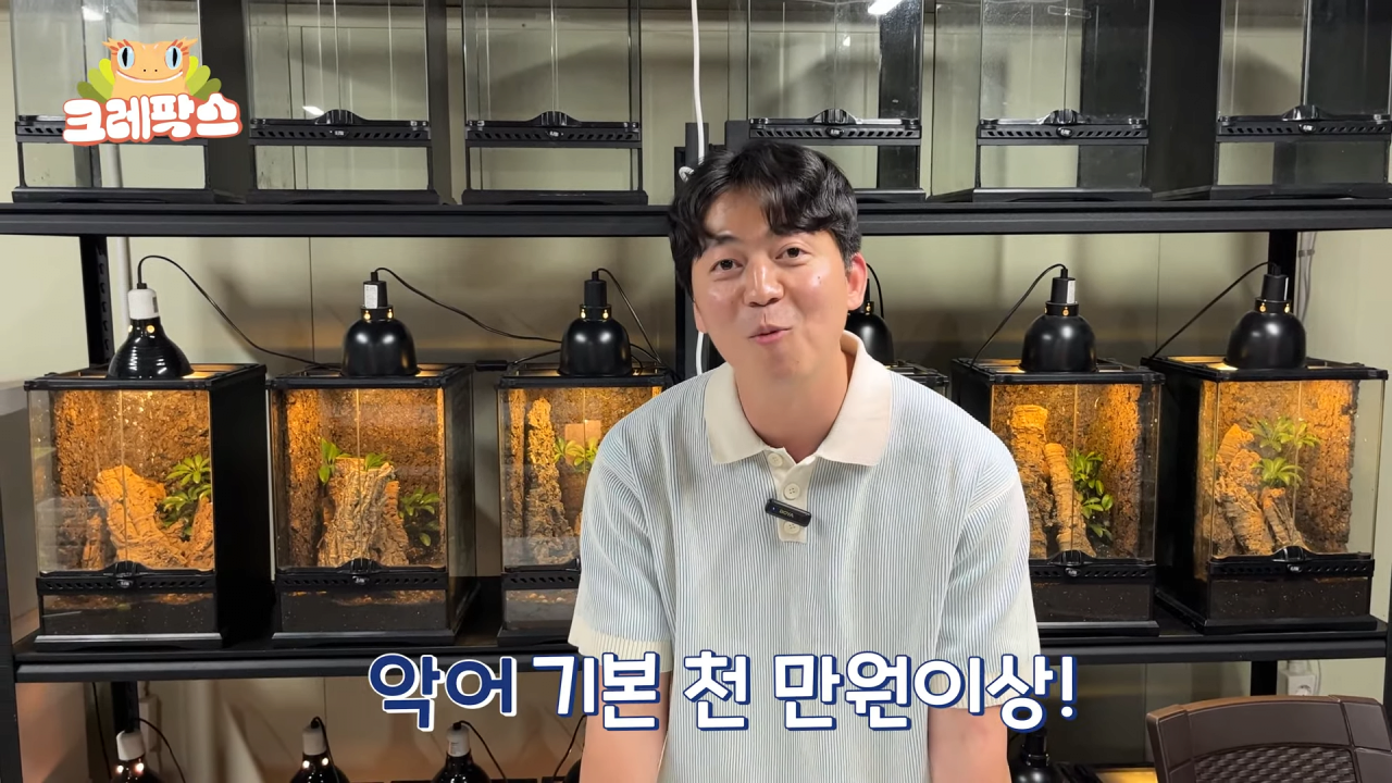 31.png 파충류 전문가가 본 영주 왕도마뱀, 비단뱀, 악어 유기 사건