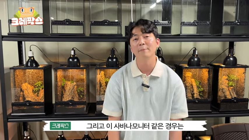 파충류 전문가가 본 영주 왕도마뱀, 비단뱀, 악어 유기 사건