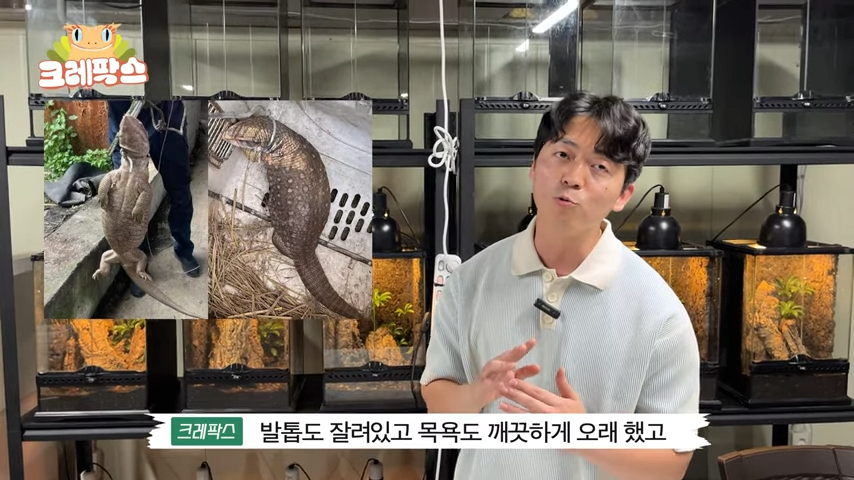 4.png 파충류 전문가가 본 영주 왕도마뱀, 비단뱀, 악어 유기 사건