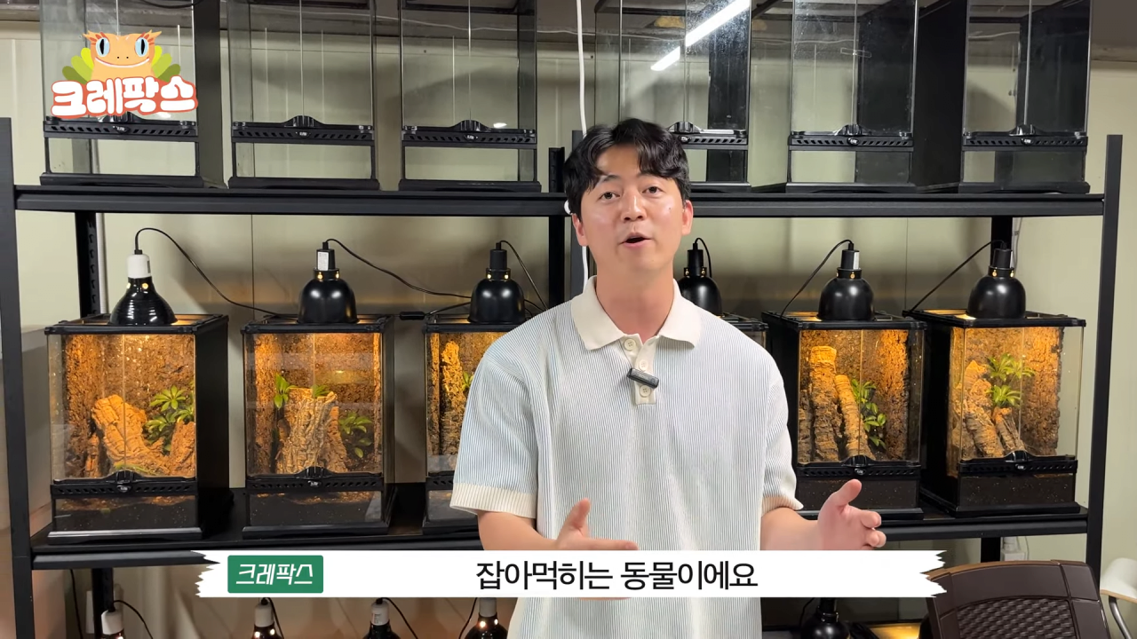 21.png 파충류 전문가가 본 영주 왕도마뱀, 비단뱀, 악어 유기 사건