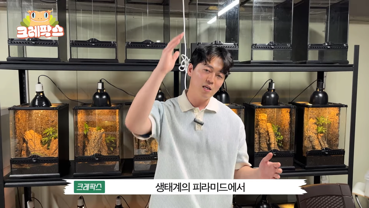 19.png 파충류 전문가가 본 영주 왕도마뱀, 비단뱀, 악어 유기 사건