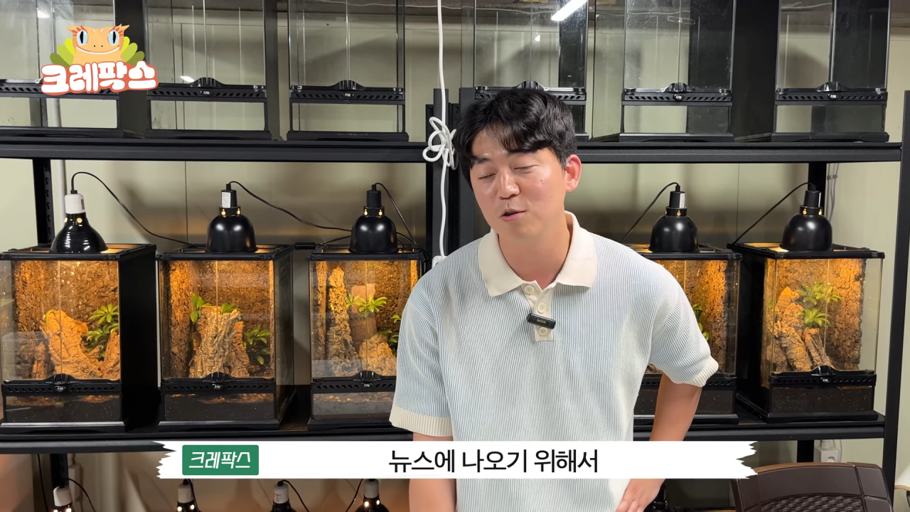 29.png 파충류 전문가가 본 영주 왕도마뱀, 비단뱀, 악어 유기 사건