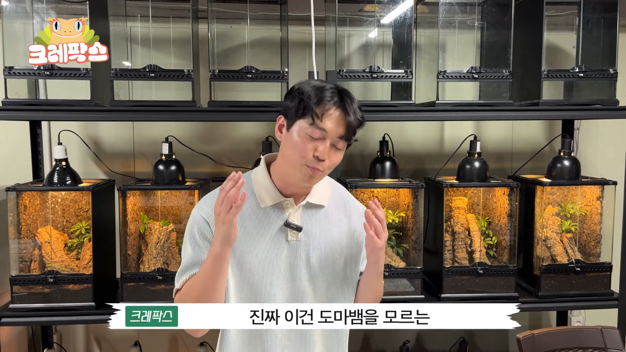 18.png 파충류 전문가가 본 영주 왕도마뱀, 비단뱀, 악어 유기 사건