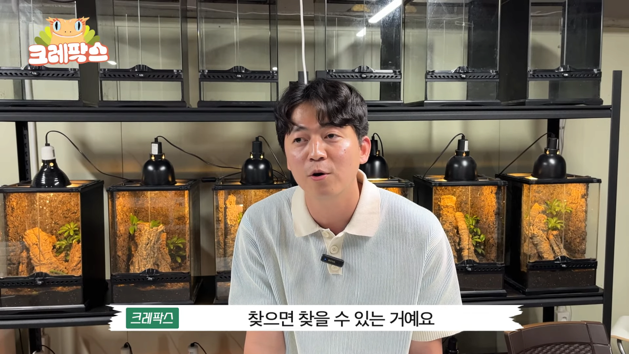 16.png 파충류 전문가가 본 영주 왕도마뱀, 비단뱀, 악어 유기 사건